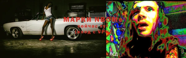бошки Каменногорск