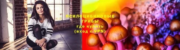 ECSTASY Каменка