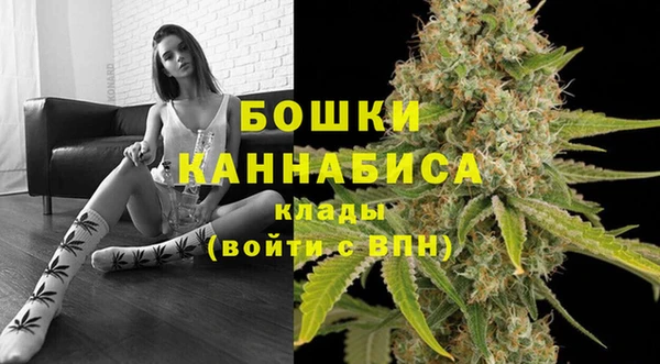 ECSTASY Каменка
