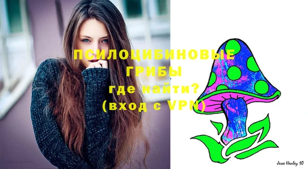 бошки Каменногорск