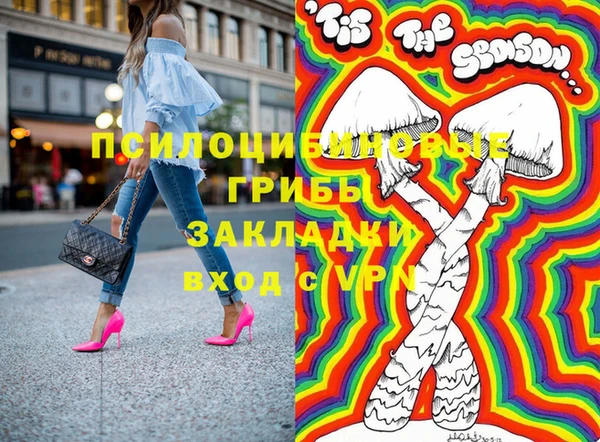 бошки Каменногорск