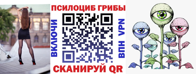 Псилоцибиновые грибы Psilocybe  Купить закладки  Качканар 